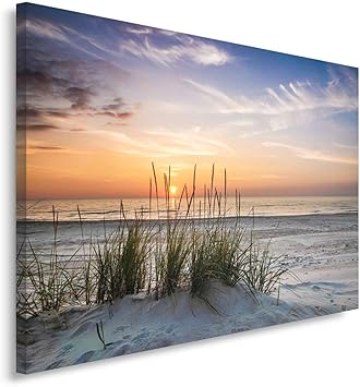 cuadros del mar amazon