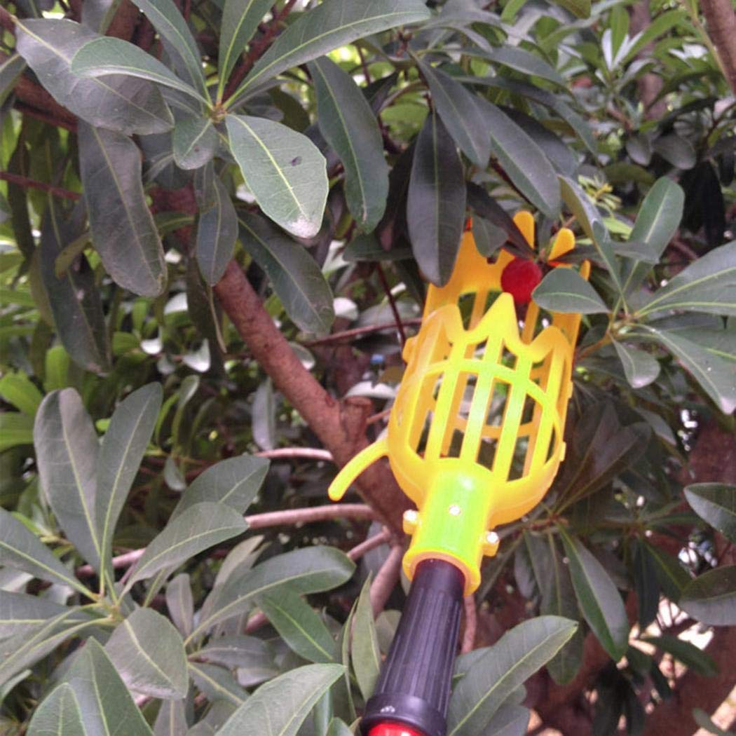 piokikio Useful and Durable Manual Picking Fruits Bayberry Tools