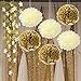Wcaro New Years Decorations Birthday Party Decoration Wedding Decoration Baby Shower Decor Gold Cream Tissue Paper Pom Poms Paper Flowers Gold Twinkle Star Garland Twinkle Twinkle Little Star