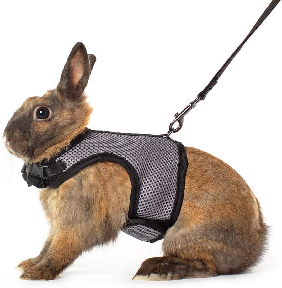 niteangel adjustable soft harness with elastic leash for rabbits