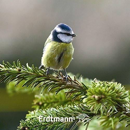 Erdtmann Meisenfutter Titmouse Food, 5 Kg(pack of 3), 5 kg (Pack of 3) - Image 4