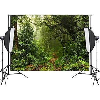 Amazon.com : 7X5FT Jungle Safari Tree Forest Foliage