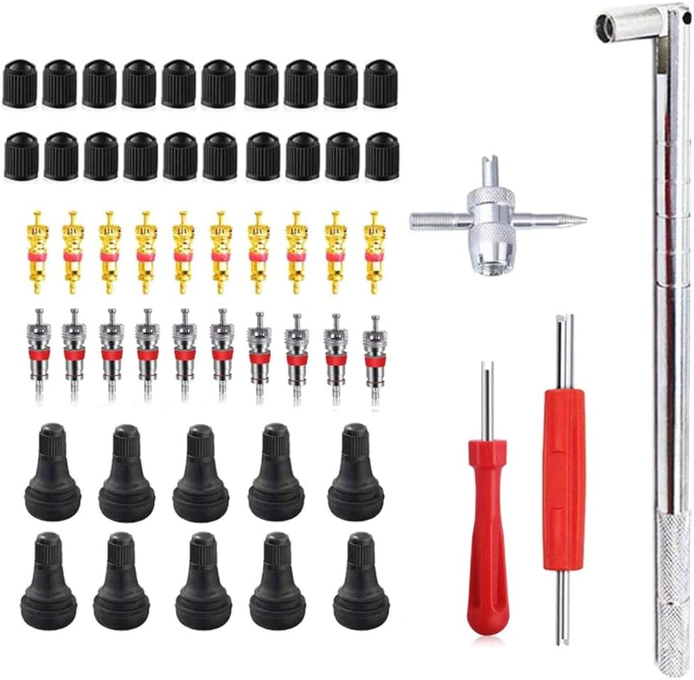 Camisin 54 Pcs Tire Valve Stem Tool Remover & Installation