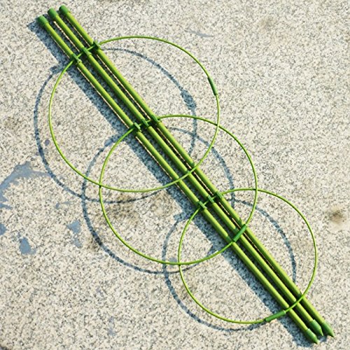 Wewoo Jardinería 2 pcs Escalada Rattan Planta Titulaire Redonda en ...