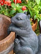 Primrose 72cm Solar Powered Squirrel Water Feature Fountain - 2 Tier view 4