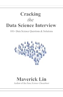 Data Science Interviews Exposed Yanping Huang Jane You Iris