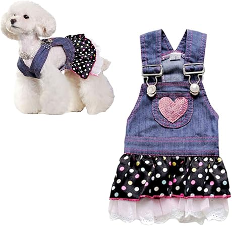 dog clothes uk