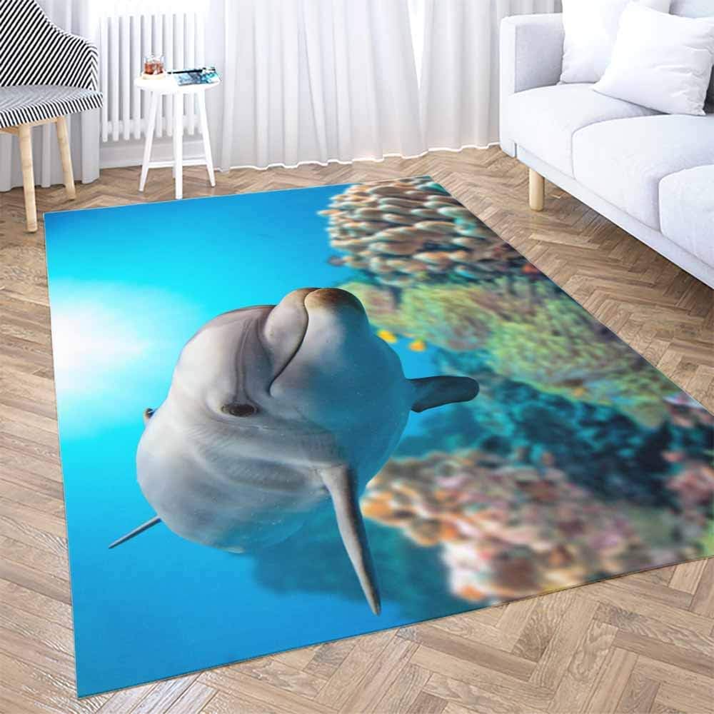 Neutral Area Rug,Shorping Modern Area Rug 2X3 Area Rugs for Girls Dolphin Underwater on Reef Background Looking You Indoor Outdoor Rug Rugs for Living Room Big Soft Area Rug