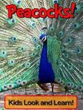 Peacocks! Learn About Peacocks and Enjoy Colorful Pictures - Look and Learn! (50+ Photos of Peacocks)