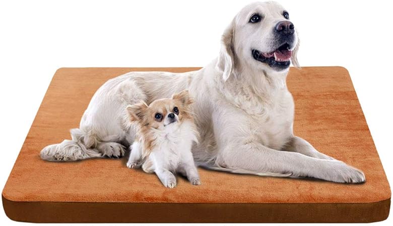 foam mats for dogs