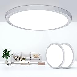 DEALGADGETS Flush Mount Ceiling Light Fixtures,24W
