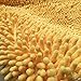 USTIDE Yellow Chenille Rugs Shaggy Washable Kitchen Area Rug Sets Thick Indoor Non Slip Floor Mat Living Room Rugs 2'X3'