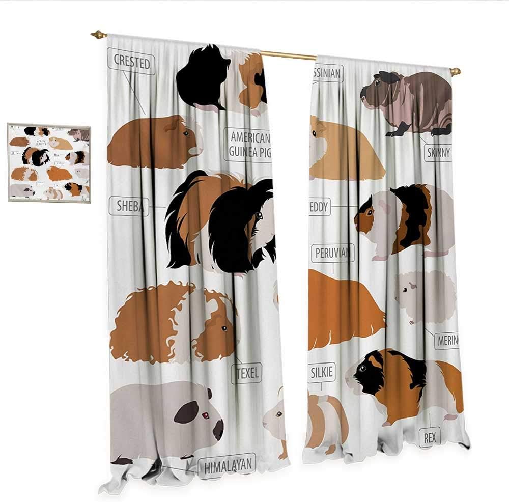 WinfreyDecor Guinea Pig Customized Curtains Infographic Design