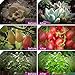 Plant Light , 20W USB Powered Dual Head LED Grow Light with 40 LEDs , 5 Dimming Levels , 3 Lighting Modes , 3/6/12H Timer Flexible Gooseneck Clip On Grow Lamp for Indoor Plants / Garden / Hydroponics