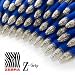 Z-Grip Retractable Ballpoint Pen - Economy Pack of 40 - Blue