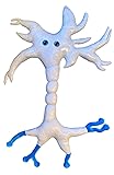 GIANTmicrobes Gigantic 25" Brain Cell Plush - Learn