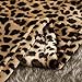 MERRYLIFE Leopard Throw Blanket Decorative Fleece Throw | Ultra-Plush Colorful Oversized | Couch Blanket Travel Lap | (50
