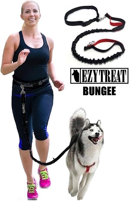 Stretchy dog lead Clearance