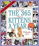 The 365 Kittens-A-Year Wall Calendar 2017 by 