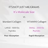 V Vitamini Collagen Supplements for Women - Marine Capsules, Biotin, Zinc view 2