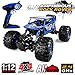 Distianert 1/12 Scale RC Truck 4WD Electric Amphibious RC Car, 2.4GHz 18km/h High Speed Monster Truck, Off-/On- Road Buggy for All Terrain