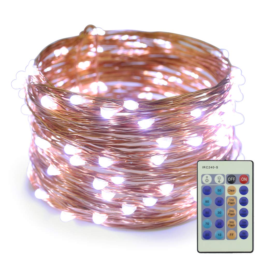 Erchen LED String Lights, 100 FT 30M 300 LED Plug in Dimmable Copper Wire Fairy Lights with 12V DC Power Adapter Remote Control for Wedding Christmas Party Bedroom (White)