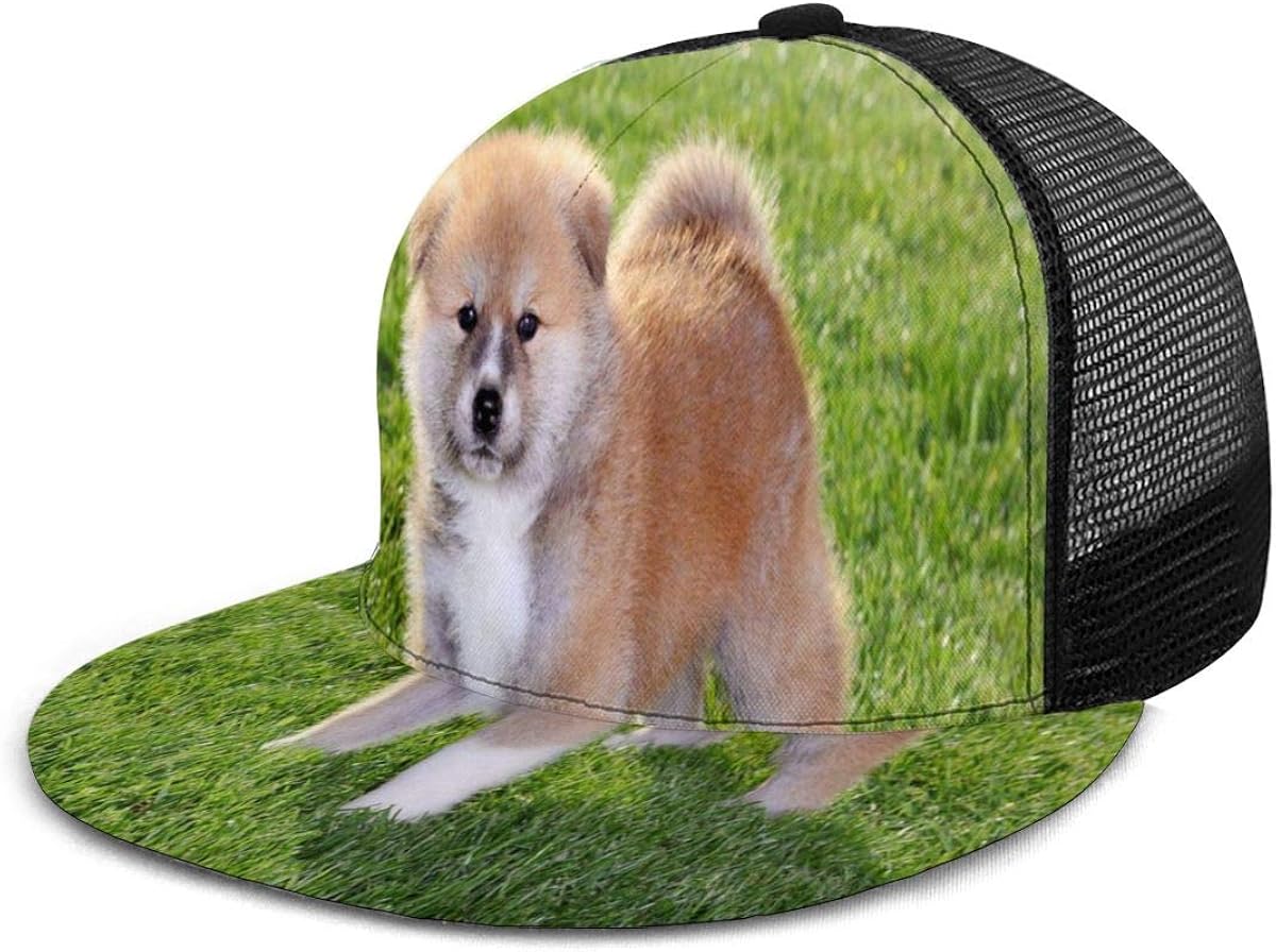 flat bill hats for dogs