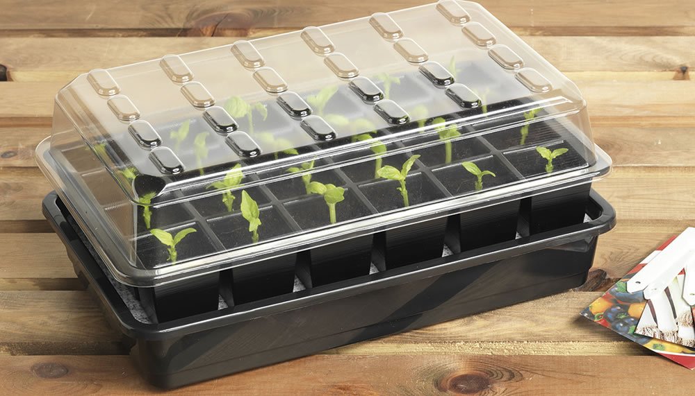 Garland GAL44LSW 24 Cell Self-Watering Propagator, Black, 38x17x26 cm