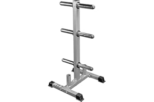 Valor Fitness Weight Plate Rack with Barbell Holders – Heavy-Duty Steel Storage Tree with 6 Pegs and 2 Vertical Bar Sleeves for Standard and Olympic Plates – 800 lb Capacity for Home & Garage Gyms