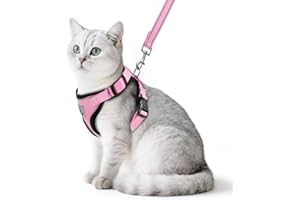 PUPTECK Cat Harness and Leash Set Escape Proof Reflective Cat Walking Harness Adjustable Soft Breathable Mesh Vest for Small Pets, Light Pink, S
