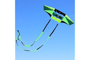 MINT'S COLORFUL LIFE Beach Kites for Adults Large with Long Tail, 98 inches Super Easy Flyer 3D Rainbow Box Kites, Comes with Two 49 Feet Multi Colors Tails, 300 ft Kite String & Handle