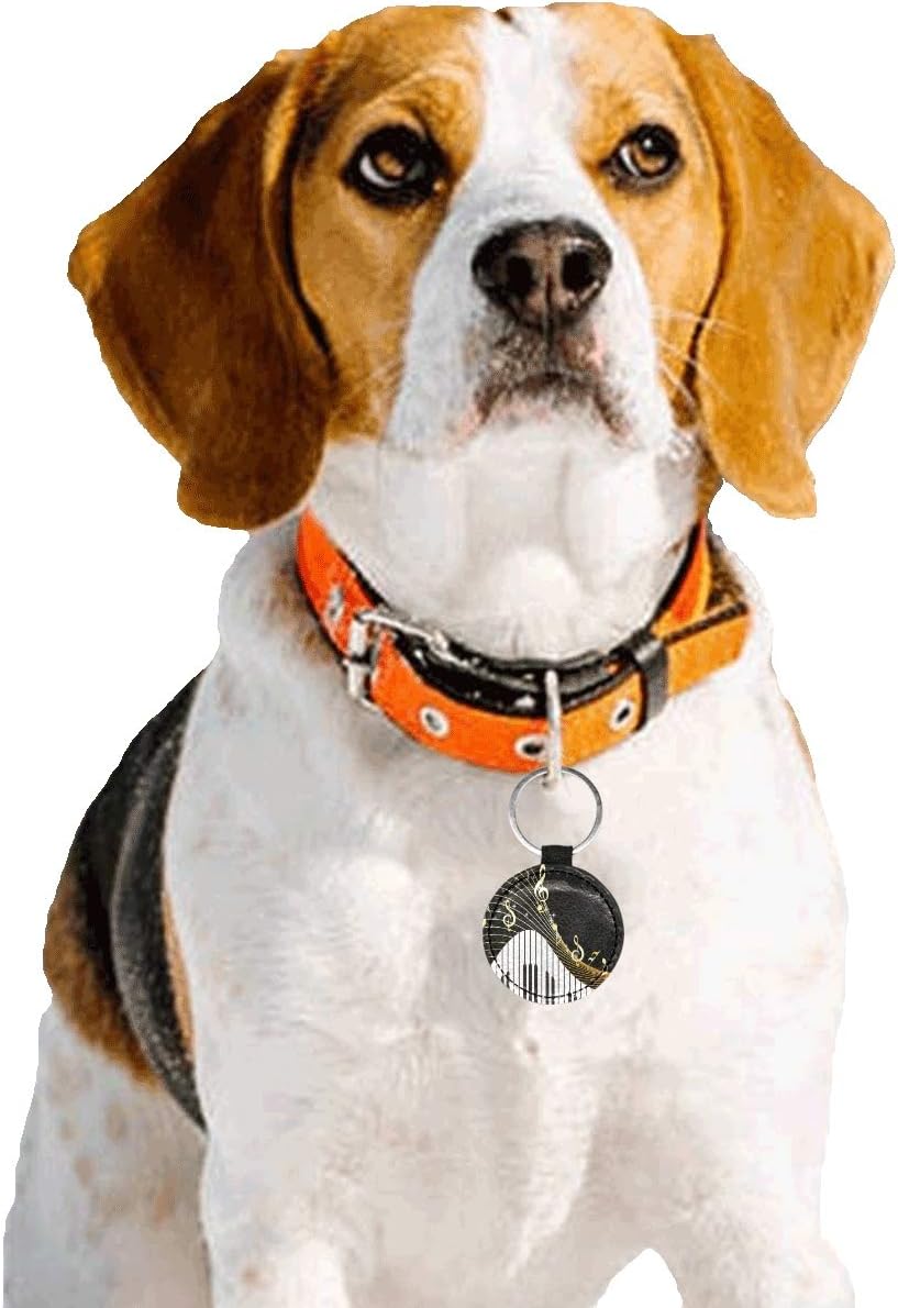 Amazon Com Ypink Cat s Indoor Black With Musical Instrument And Notes Cat s Funny Name For Dog Double Sided Round Microfiber Leather Unique Designs For Dog Cat Pet Supplies