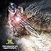 Bright Eyes Ember - Super Bright Rechargeable Bike Light - 10+ HRS on Standard Brightness - USB Rechargeable - Original & GoPro Compatible Mount Options - Small, Light & Bright