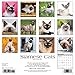 Siamese Cats 2017 Wall Calendar