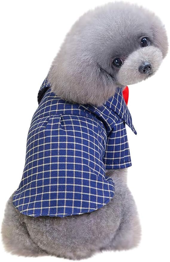 Amazon Co Jp ペット服 小型犬 夏 ペット服 小型犬 夏服 ペット服 小型犬 ドレス ペット服 犬服 Hodarey 可愛い 犬の服 ペット服 いぬの服 ペット犬猫 春 夏 犬の服 Tシャツ お散歩 子犬 ドッグ服 ペット用品 人気 犬の服 ｔシャツ 洋服 撮影 部屋着