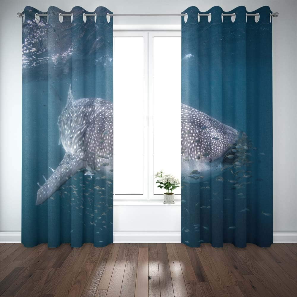 Capsceoll 52X 84 Inch 2 Panels Whale Shark Feeding in Western Australia Window Curtain Panels for Home Kitchen Bedroom,Girls and Boys Curtains