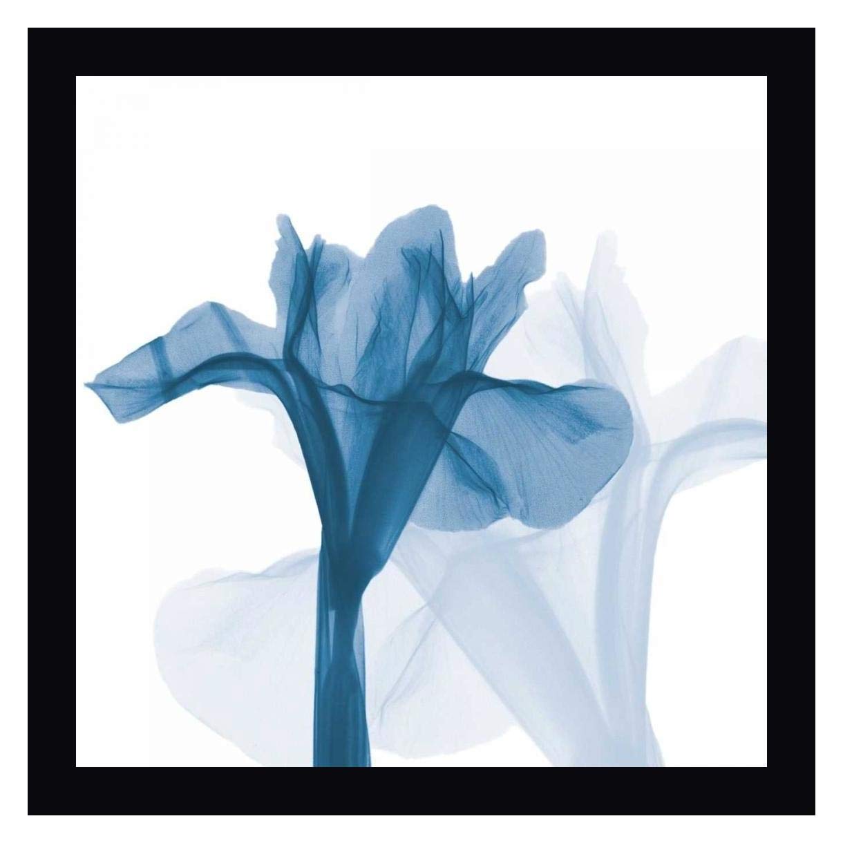 Best Blue Octave Home B51 5.1 Surround Sound Home Entertainment System