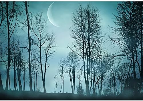Wall26 Night Forest In Vintage Background Removable Wall Mural Self Adhesive Large Wallpaper 100x144 Inches Amazon Com Wall26 Night Forest In Vintage Background Removable Wall Mural Self Adhesive Large Wallpaper 100x144 Inches Amazon Com