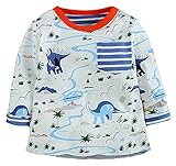 Fiream Boys Crewneck Cartoon Long Sleeve T-shirt(50541TZ,3T)