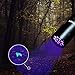 FOXNOV 12 LED UV Flashlight Black Lights Pet Dog Urine Stain Detector, 395nm with 3 AAA Batteries