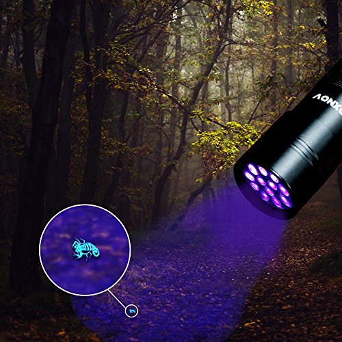 FOXNOV 12 LED UV Blacklight Flashlight Pet Urine Stain Detector, 395nm