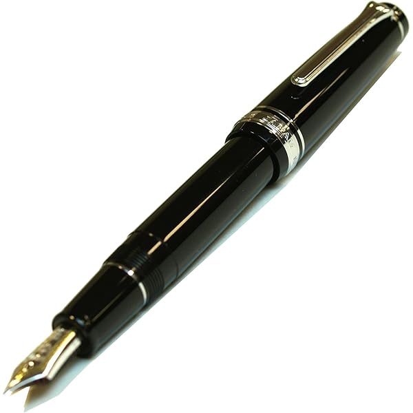 Amazon.com: Sailor 1911 Large Black Gold Trim 21K Gold Medium