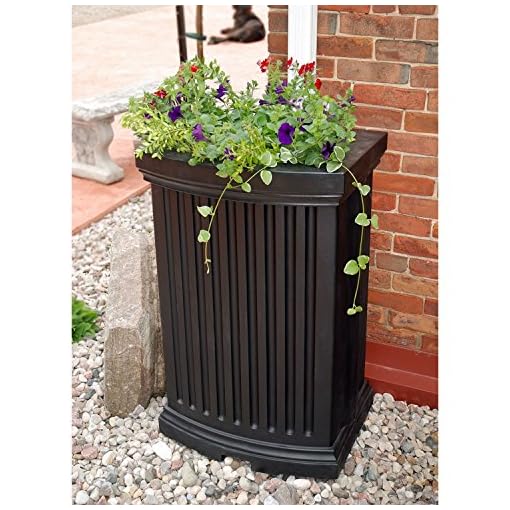 Madison Rain Catcher - Thumbnail 2