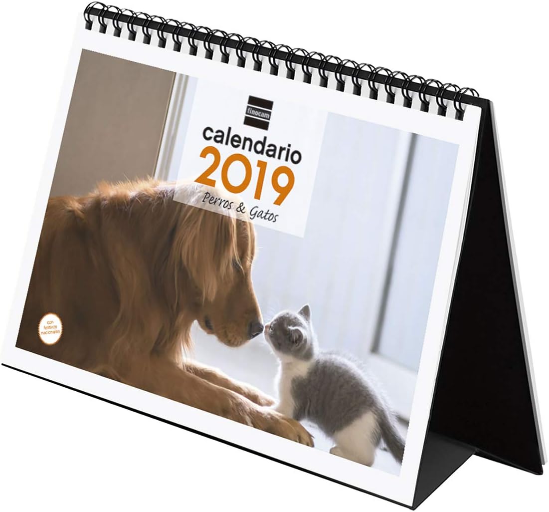 Finocam 780323019 Desktop Calendar 2019