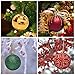 KI Store Extra Large Christmas Poinsettia Flowers Green 16-Inch Set of 6 Floral Picks for Christmas Tree Decoration