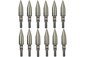 Aklisdlha 100/125/150/200 Grains Archery Field Points Practice Field Tips, Stainless Steel Archery Target Practice Hunting Arrow Tip for Recurve, Compound Bow Crossbow, Screw in Broadheads
