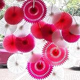SANNIX Vintage Collection Hanging Tissue Paper Fan Party Decoration 16