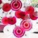 SANNIX Vintage Collection Hanging Tissue Paper Fan Party Decoration 16
