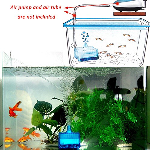 best fish tank filter for goldfish
