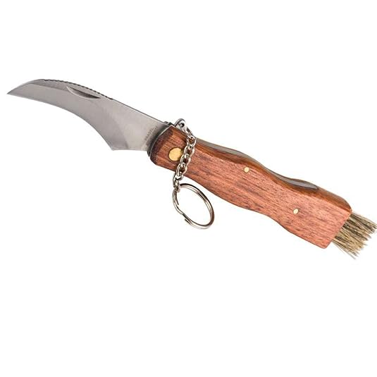 Pilzmesser, mit gezahntem Klingenrücken und Bürste, Klappmesser / Taschenmesser mit Holzgriff